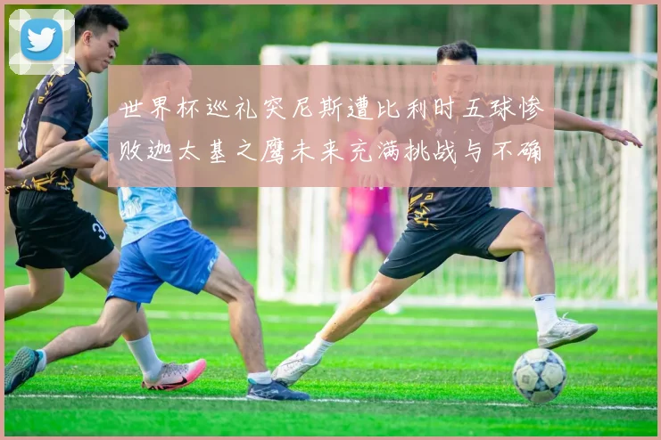 世界杯巡礼突尼斯遭比利时五球惨败迦太基之鹰未来充满挑战与不确定性